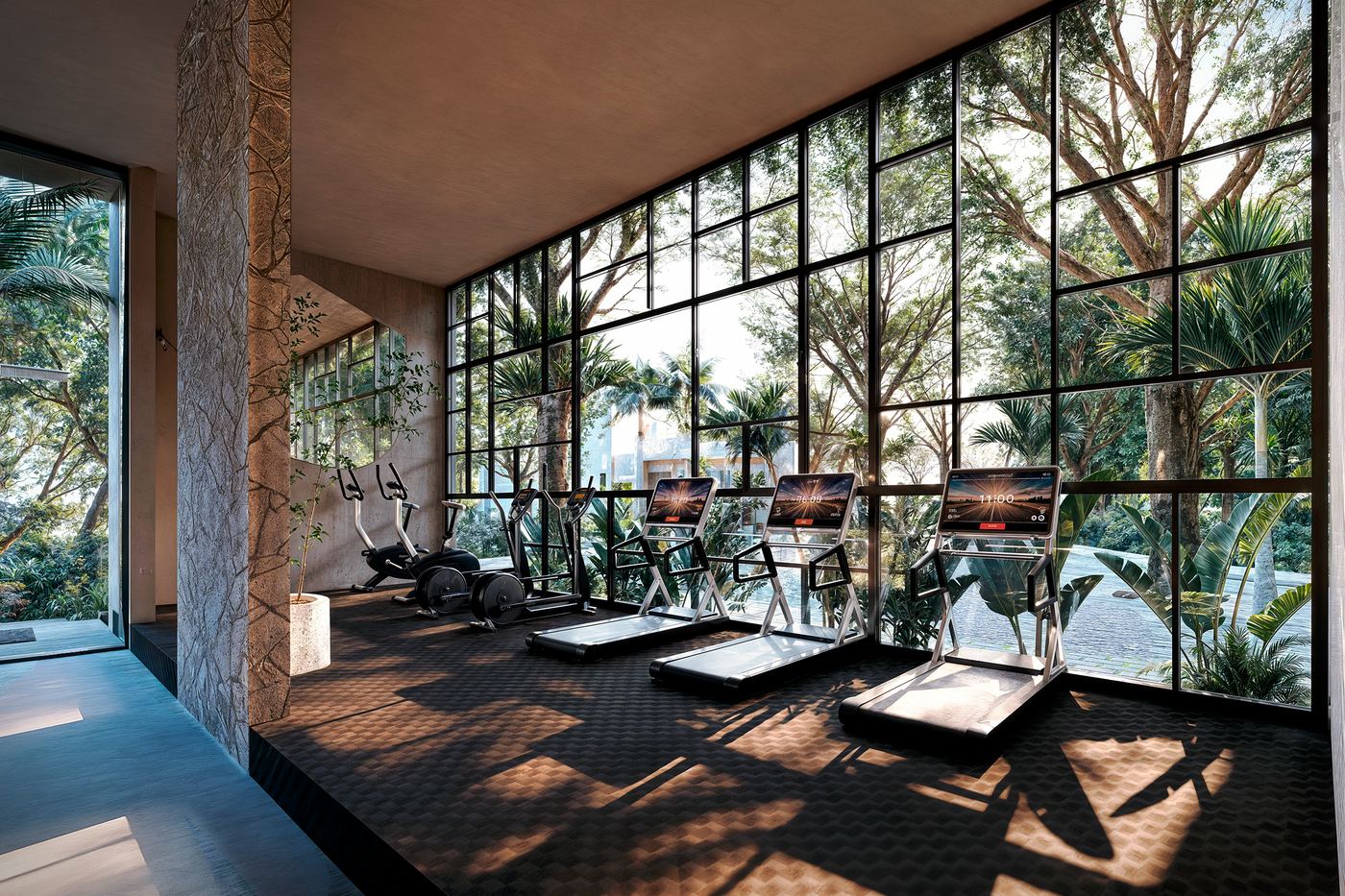Gimnasio — zona cardiovascular con caminadoras